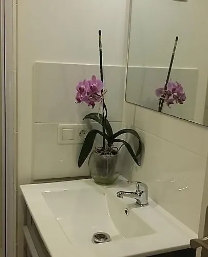 Bed & Breakfast Le Clos Des Paludiers Molene