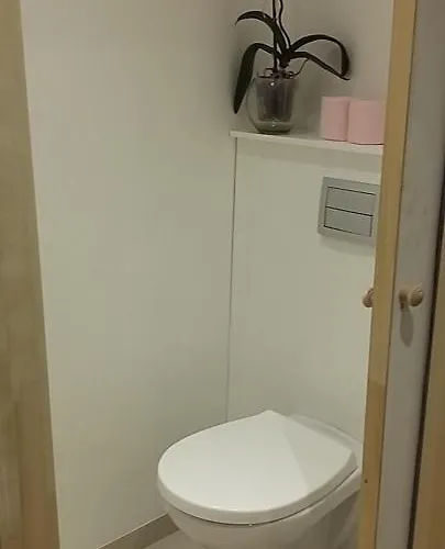 Le Clos Des Paludiers Molene Bed & Breakfast